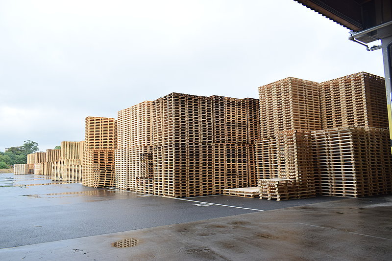 Hit Holz Pallets